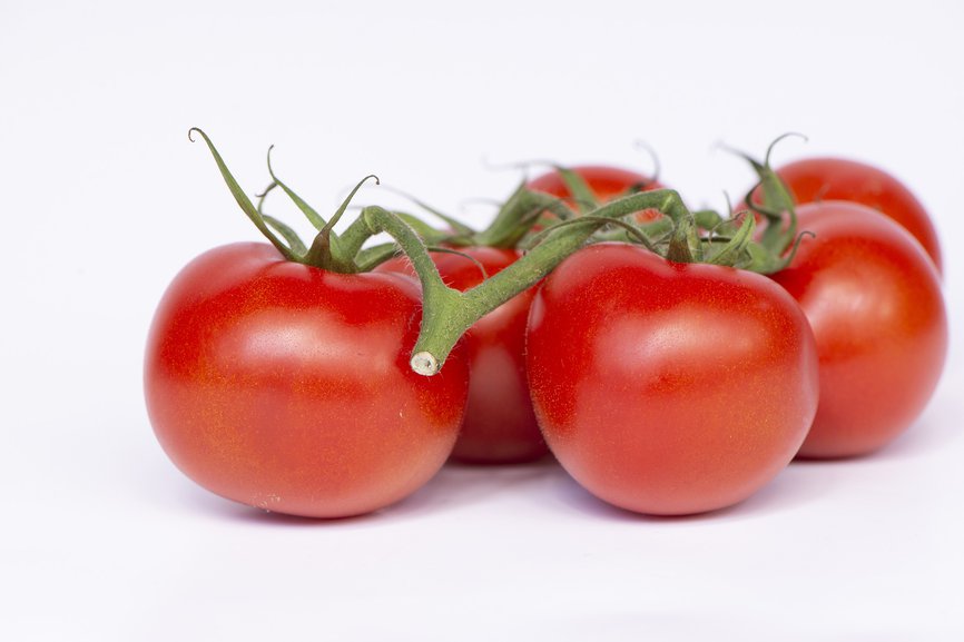 Tomato